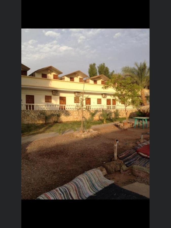 מלון נואייבה Elbadawy Camp מראה חיצוני תמונה