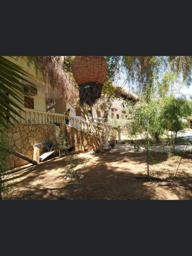 מלון נואייבה Elbadawy Camp מראה חיצוני תמונה